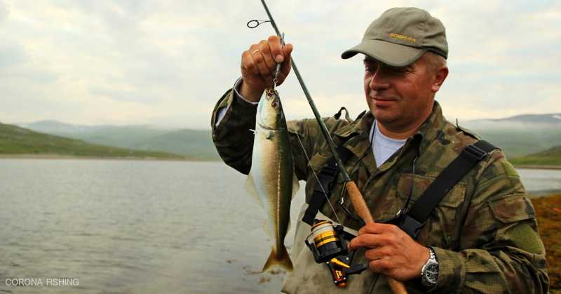 Tam gdzie zaczynają się strumienie.